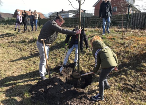 Boomfeestdag, planten boom