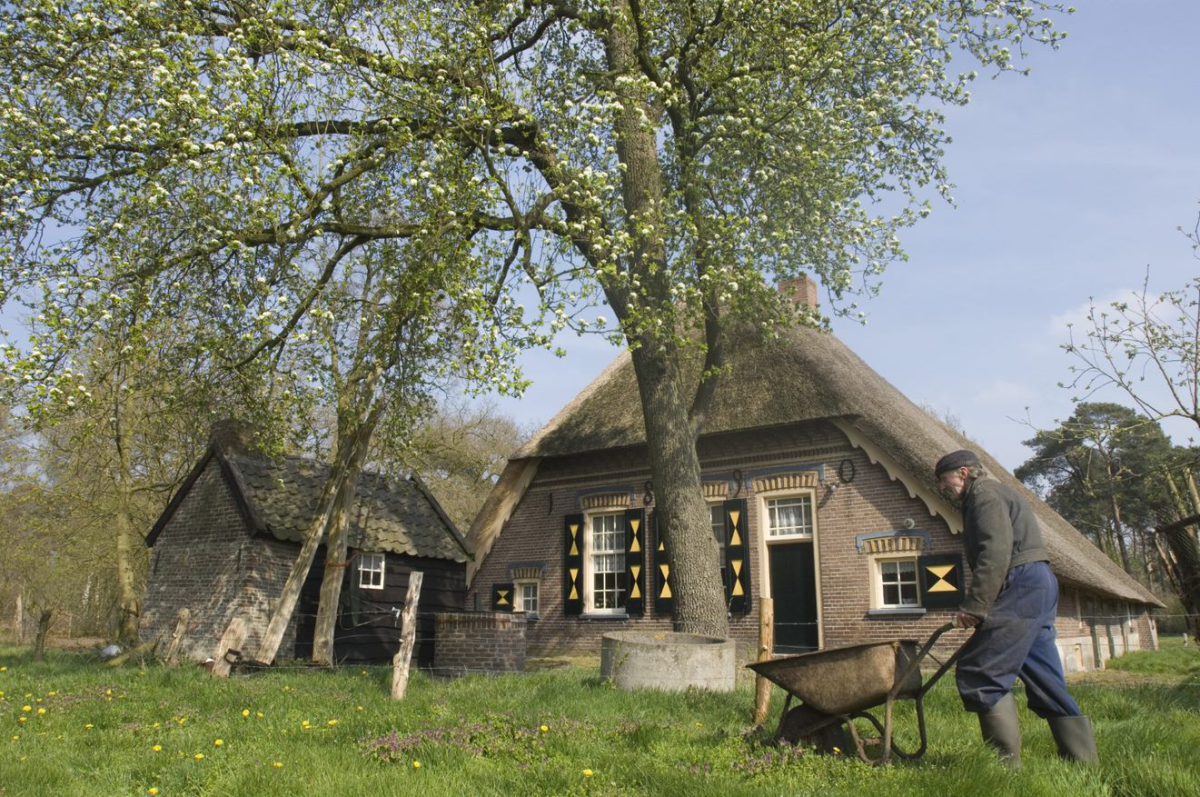 Beeld van een boerderij met grote boom ervoor. Op de voorgrond een agrariër met kruiwagen